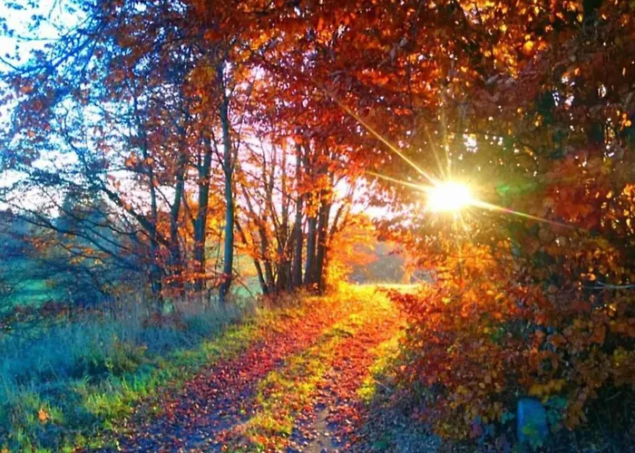 Spacious Lakeview Getaway * Guntersberge