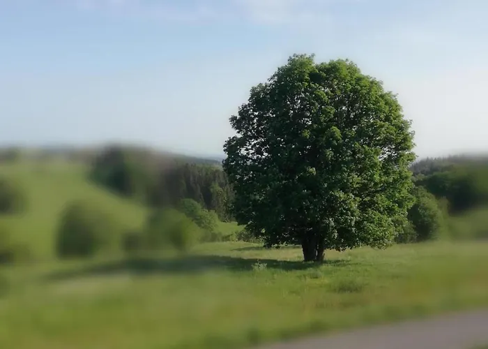 Spacious Lakeview Getaway